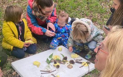 Birth to 4  – Child and Adult Stay and Play Session.