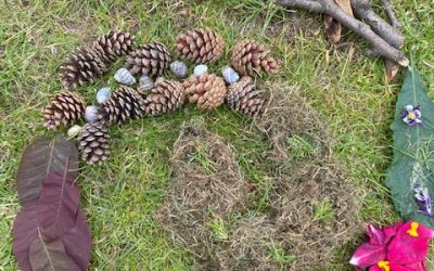 Home Education Group