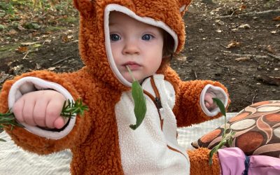 Forest Babies Sessions