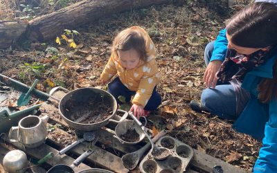 Birth to 4 Adult and Child Stay and Play Session