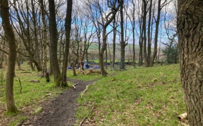 Wharncliffe Side Dragon’s Youth Club Visit